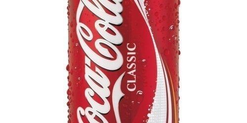 Assorted Individual Sodas