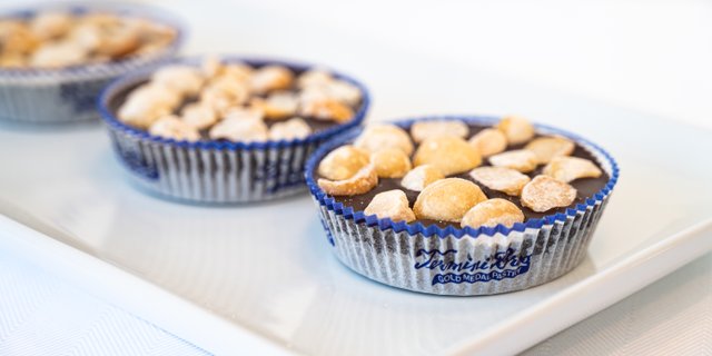 Chocolate Macadamia Discs