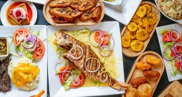 Miami Restaurant