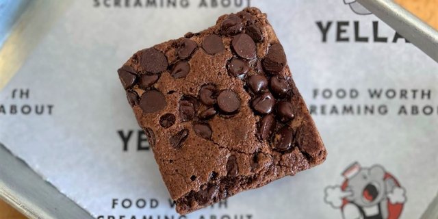 Chocolate Chip Brownies