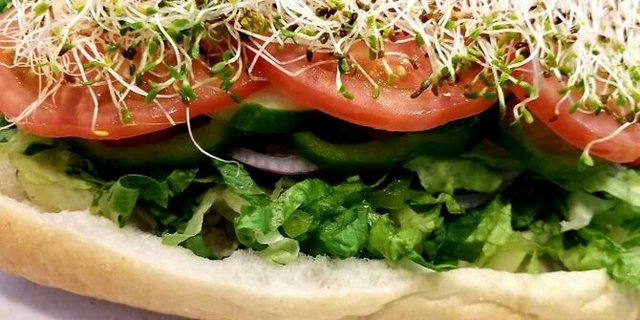 Veggie Hoagie
