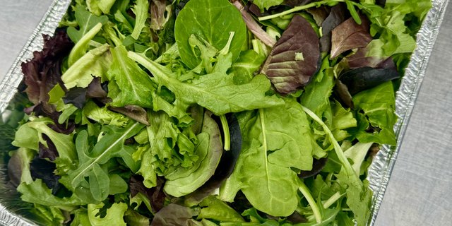 Spring Mix Salad