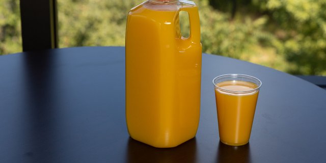 Fresh-Squeezed Orange Juice