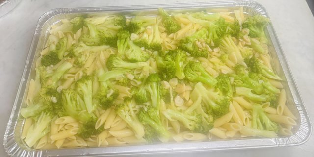 Penne w/ Broccoli & Garlic Oil Tray