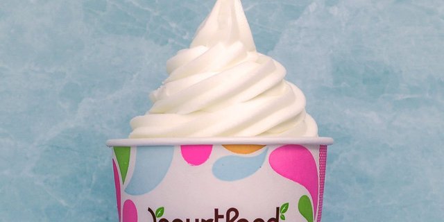 Toasted Coconut Frozen Yogurt