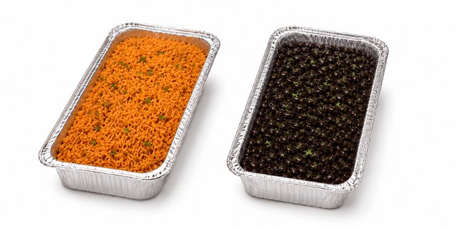 Rice & Beans