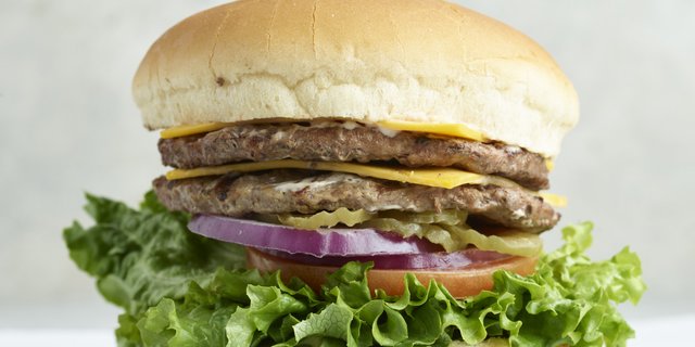 Double Cheeseburger