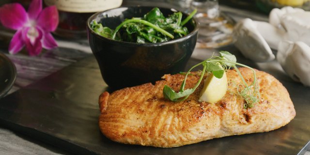 Salmon