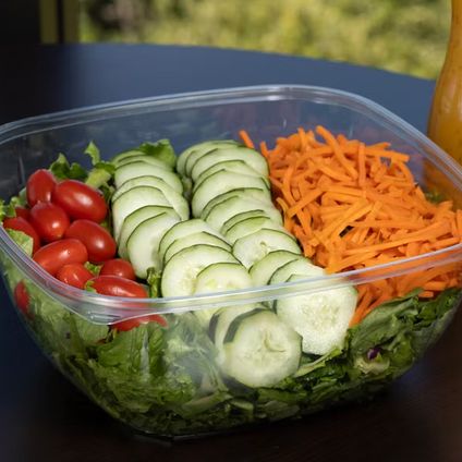 Large Garden Salad