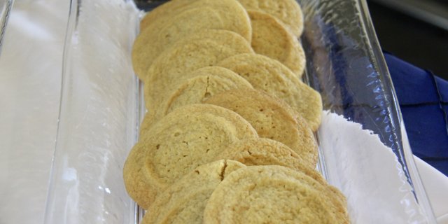Sugar Cookie