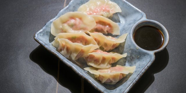 Pan-Seared Dumplings
