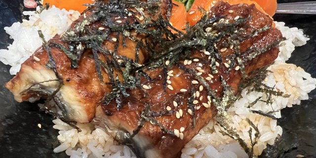 Unagi Don