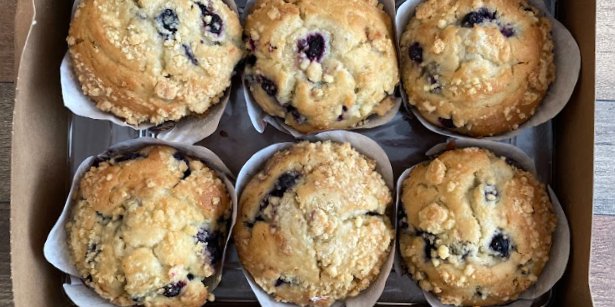 Blueberry Muffin Box
