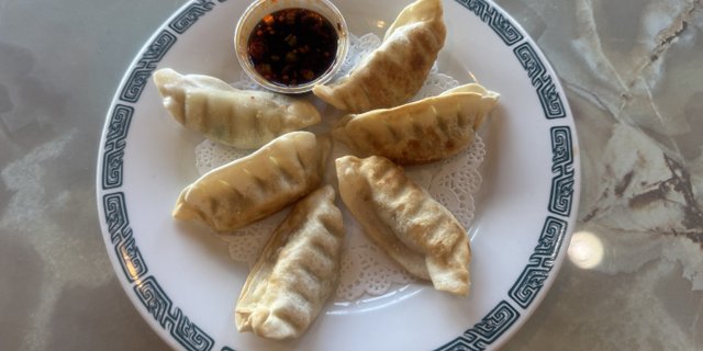 Fried Chicken Dumplings