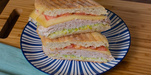 Turkey Rustica Panini