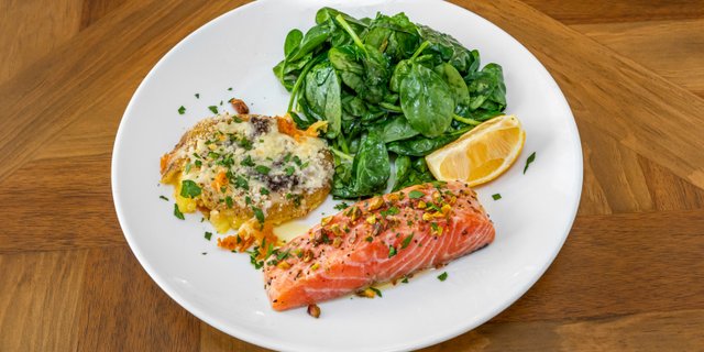 Salmon