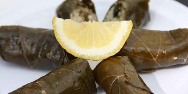 Dolma