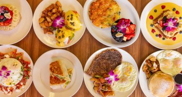 Ariel's Breakfast
