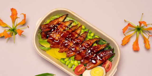 Unagi Don