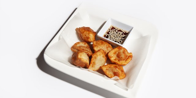 Pan-Fried Gyoza Tray