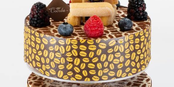 Two-Tier Tiramisu