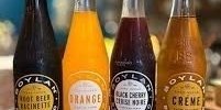 Boyland Soda