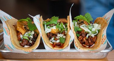 Taco Nano