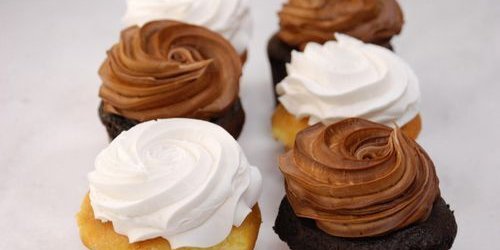 Chocolate Sponge & Yellow Sponge Cupcakes