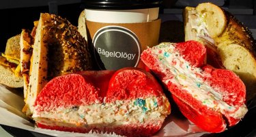 Bagelology