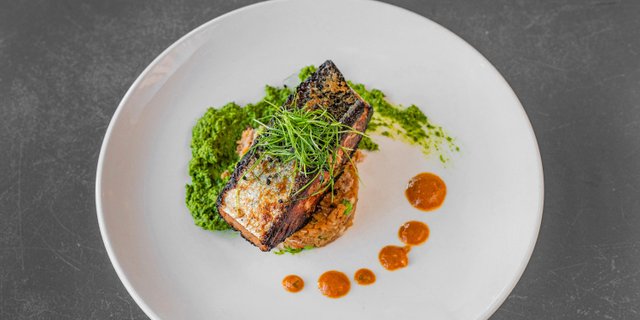 Salmon