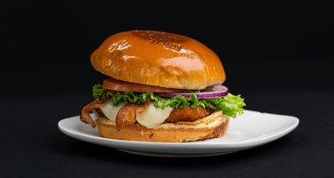 Burger Bite