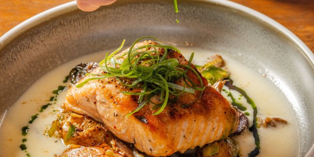 Salmon