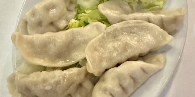 Vegetable Dumplings