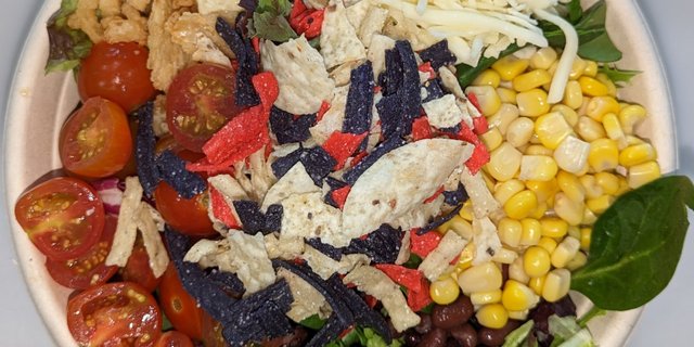 Tostada Bowl