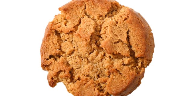 Peanut Butter Cookie
