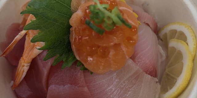 Mix Sashimi Don