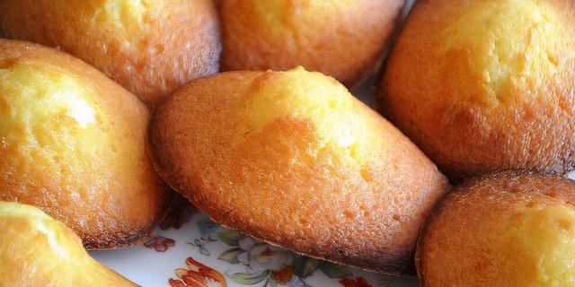 24 Madeleines