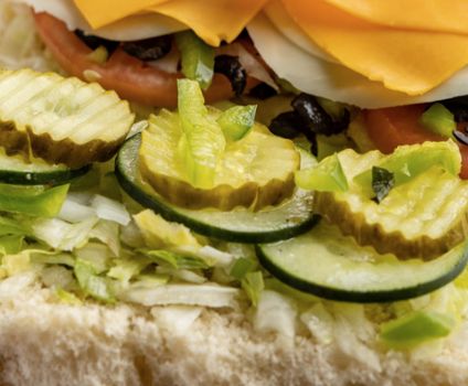 Vegetarian Platter