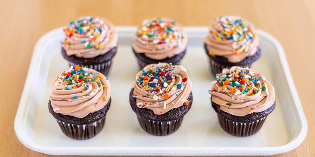 Double Chocolate Cupcakes