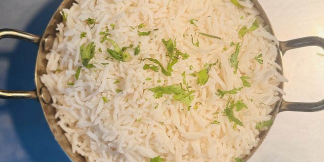 Plain Rice