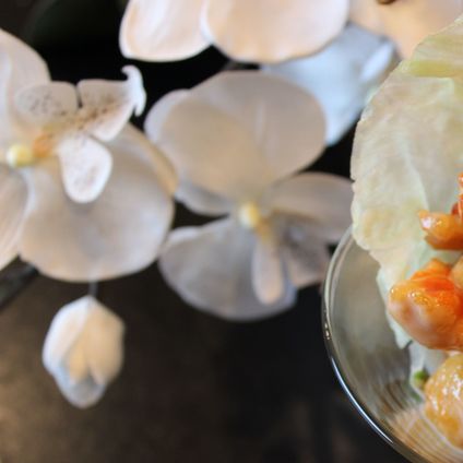 Volcano Shrimp