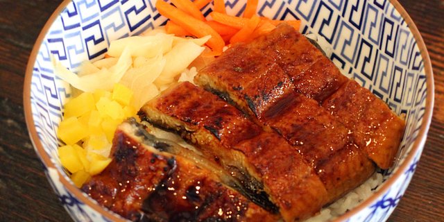 Unagi Don
