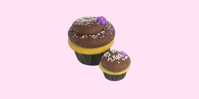 2 Dozen Vegan Babybite Cupcakes