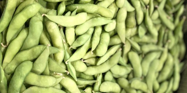 Edamame Tray