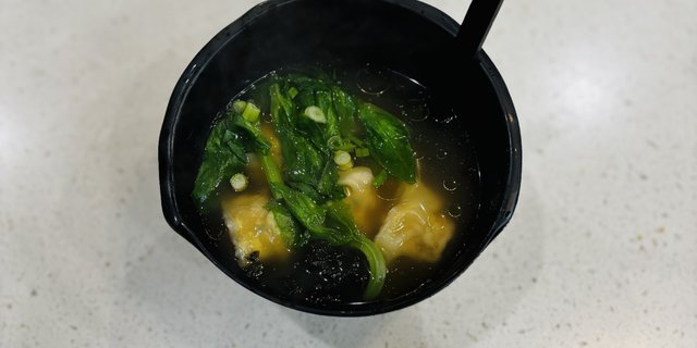 Wonton Soup