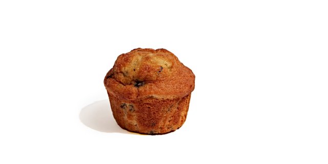Individual Blueberry Muffin