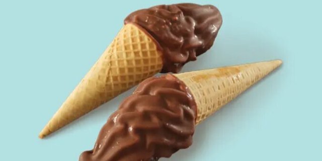 Bonnet Cone