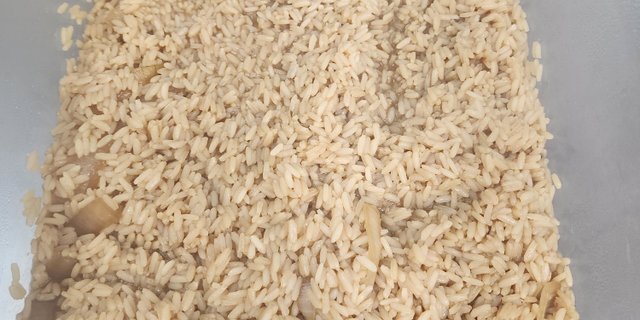 Rice