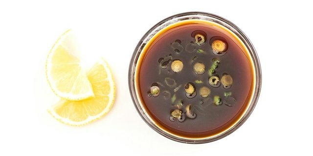 Ponzu Fresh Sauce