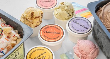 Black Dog Gelato